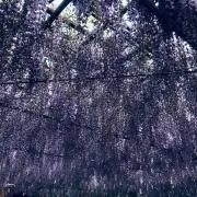 地下