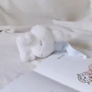 うさちゃんの画像