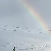 はりな