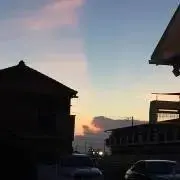 さくらの画像