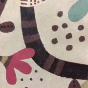 sprの画像