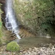 ふかふかの画像