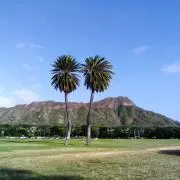 ペンギンⅡの画像