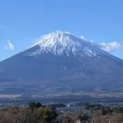 JUJUの画像