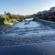 ゆゆの画像