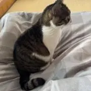 ETHANの画像