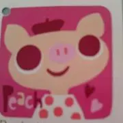 さくらちゃんの画像