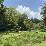 森脇梨々夏 限定 FLASH水着特集号直筆サイン入り チェキ 特典生写真3枚