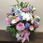 AYAKONの画像