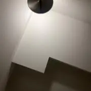 たこの画像
