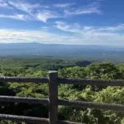 るまの画像