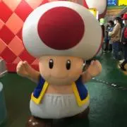けんの画像