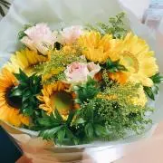 なっつの画像