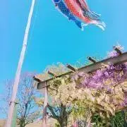 erkの画像