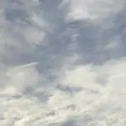 AY