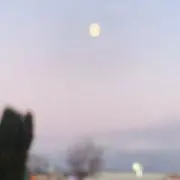 Fの画像