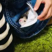 naoの画像