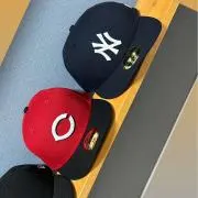 ダイの画像