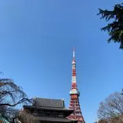 やすくんの画像