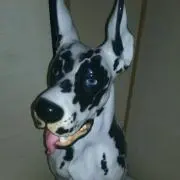 ヘーイ