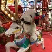 りすこの画像