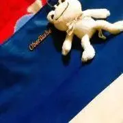 ぱいなっぷる