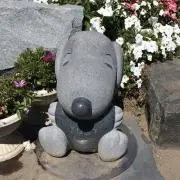 ゆぅの画像