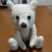 カズ
