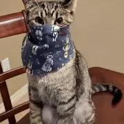 ルビー