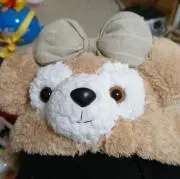 さくらこちゃんの画像