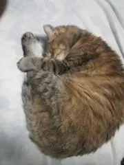 akeの画像