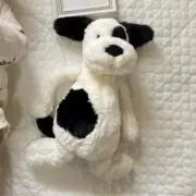 nacoの画像
