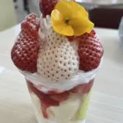 あっちゃんの画像