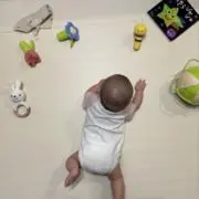 25の画像