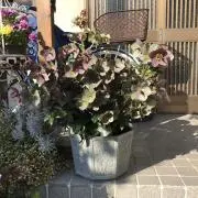 なかちゃん