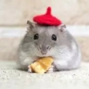 Kちゃん