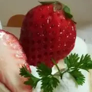 わらべの画像