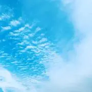 dream