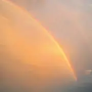 まこ