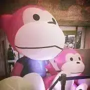 TAMの画像