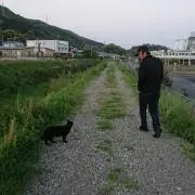 kazu