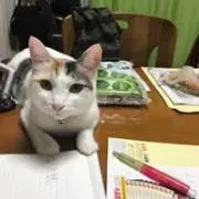 亮