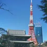 パリパリレンコンチップスの画像