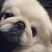 k.
