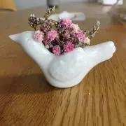 よーこ