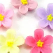 ☆large blossom☆の画像