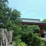こいちゃん