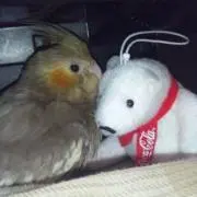 コロコロ