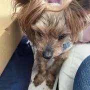 ＮaＹuの画像