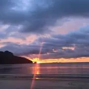 muuchoの画像